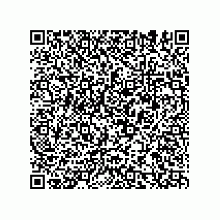 vCard 78153130077