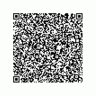 vCard 78153130079