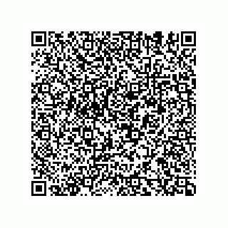 vCard 78153130080
