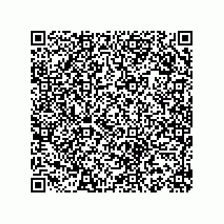 vCard 78153130100