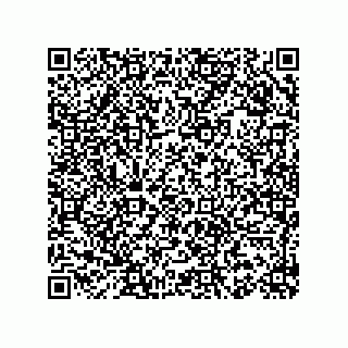 vCard 78153130101