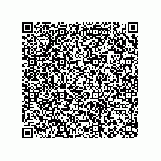 vCard 78153130133