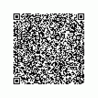 vCard 78153130171
