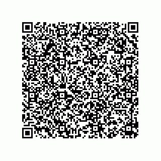 vCard 78153198803