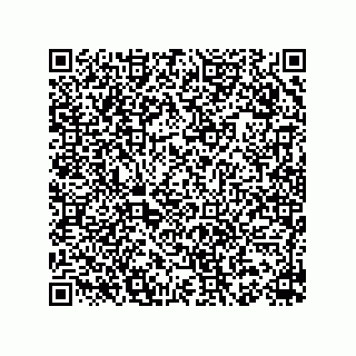 vCard 78153198821