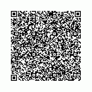 vCard 78153263040