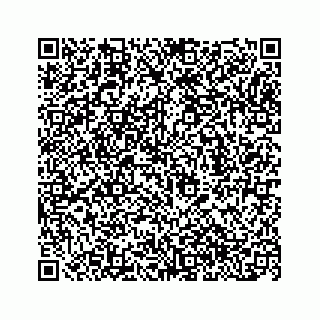 vCard 78153263140