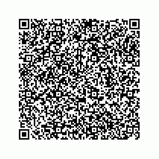 vCard 78153263168