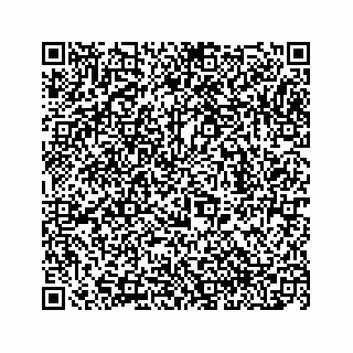 vCard 78153263199