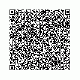 vCard 78153263384