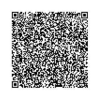 vCard 78153321000