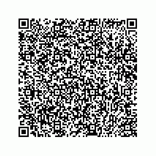 vCard 78153321008