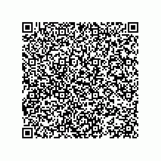 vCard 78153351552