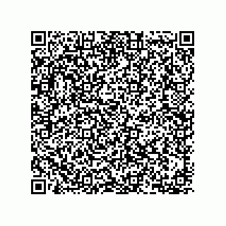vCard 78153351599