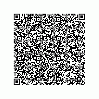 vCard 78153360410