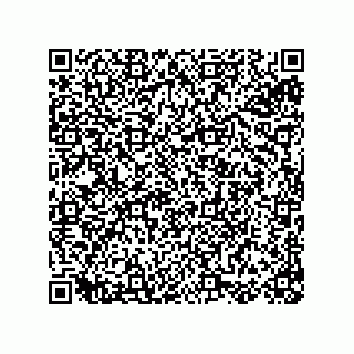 vCard 78153360541