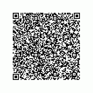 vCard 78153361329