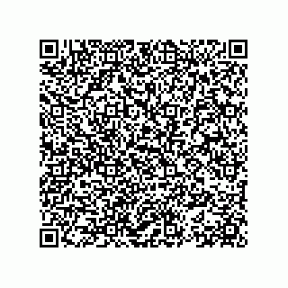 vCard 78153361333