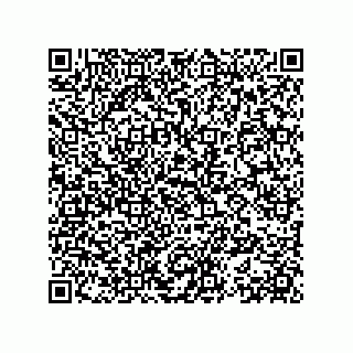 vCard 78153361379