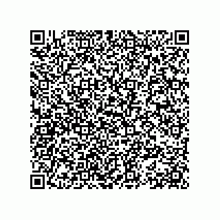vCard 78153371002