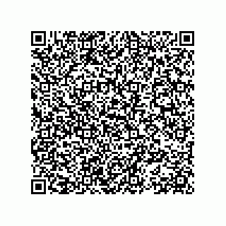 vCard 78153371004