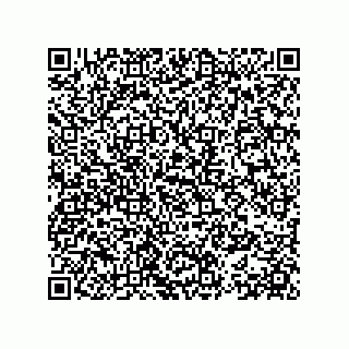 vCard 78153371009