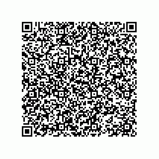 vCard 78153371013