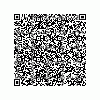 vCard 78153371019