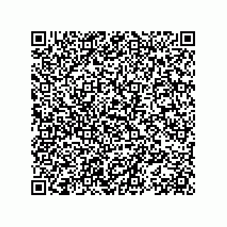 vCard 78153371079