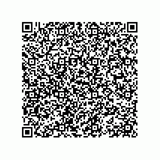 vCard 78153371081