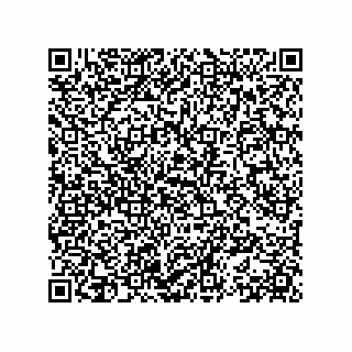 vCard 78153371099