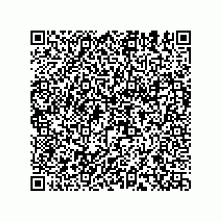 vCard 78153371100