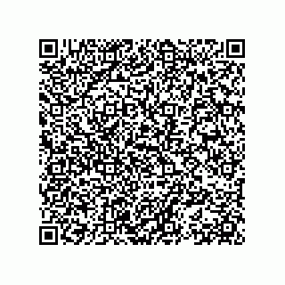 vCard 78153371103