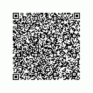 vCard 78153371111