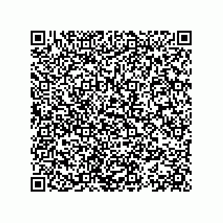 vCard 78153371119