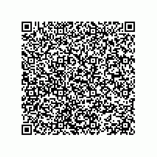 vCard 78153371300