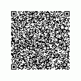vCard 78153371304