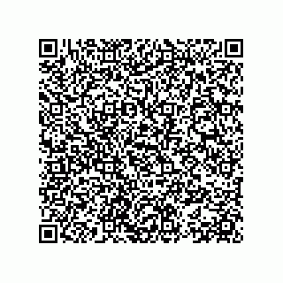 vCard 78153371305