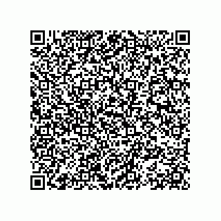 vCard 78153371306