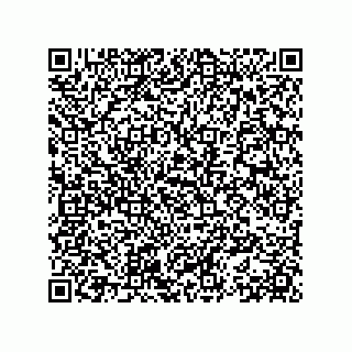 vCard 78153371307