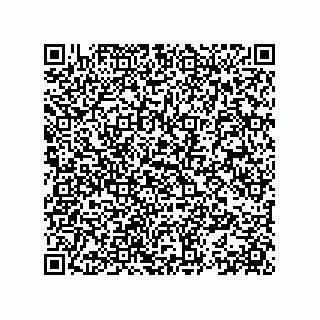 vCard 78153371313