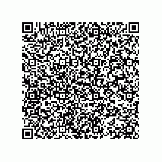 vCard 78153371331