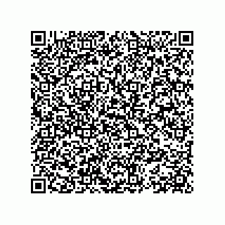 vCard 78153371333