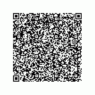 vCard 78153371373
