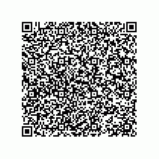 vCard 78153371377
