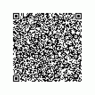 vCard 78153371379
