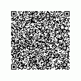 vCard 78153371381