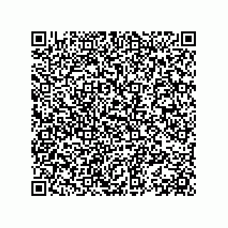 vCard 78153371382