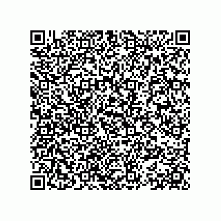 vCard 78153371383