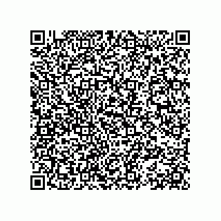 vCard 78153371384